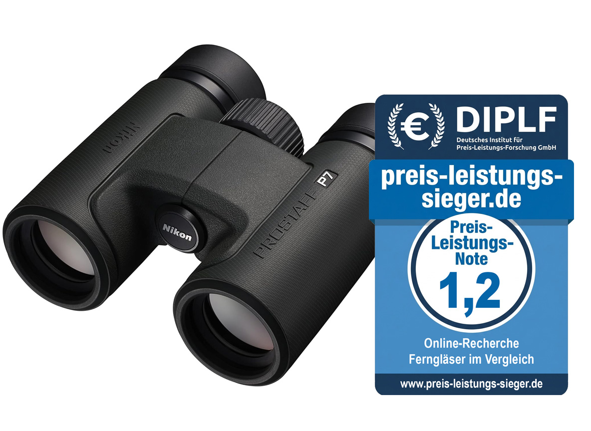 preis leistungs sieger fernglas Nikon Prostaff P7 8x30